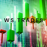 W.S. Trades Stock And Options Trading Podcast.