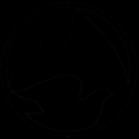 The Pentecostal Church of Arkadelphia