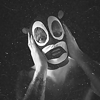 CHIMPIZM