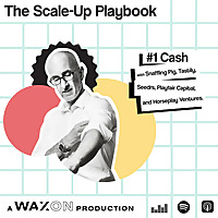 The Scale Up Playbook