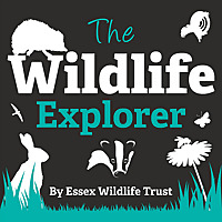 The Wildlife Explorer