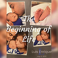 The Beginning of Life