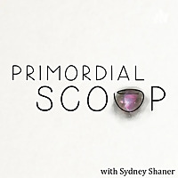 Primordial Scoop