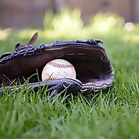 Parents Guide To Baseball Blog