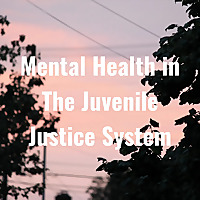 Mental Health in The Juvenile Justice System