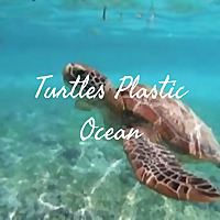 Turtles Plastic Ocean