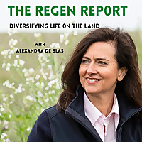 The Regen Report