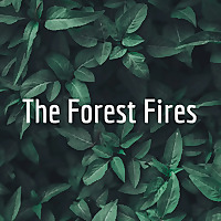 The Forest Fires