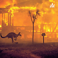 Wildfires in Australia
