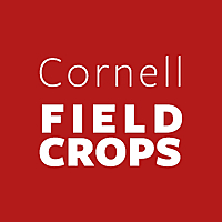 What&#39;s Cropping Up? Blog » Soil Health