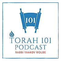 TORAH 101 - With Rabbi Yaakov Wolbe