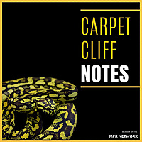 Carpet Cliff Notes