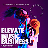 ELEVATE MUSIC BUSINESS