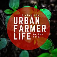 Living the Urban Farmer Life