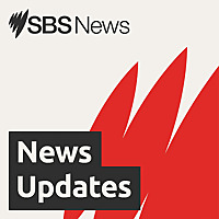 SBS News Updates