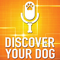Discover Your Dog