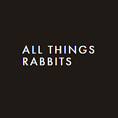 All Things Rabbit Blog
