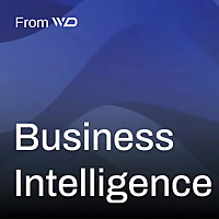 Business Intelligence