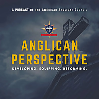 Anglican Perspective