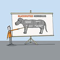 Expert Insights Black Dog Institute Podcasts