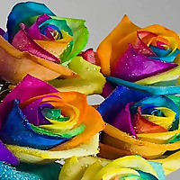 Carries Book Reviews