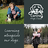 Canine High Jinks