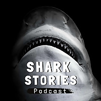 Shark Stories