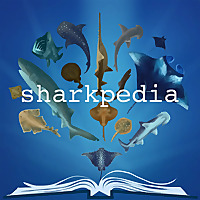 Sharkpedia