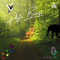 Phyto Beings