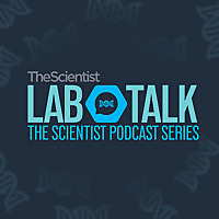 The Scientist's LabTalk