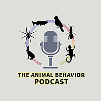 The Animal Behavior Podcast