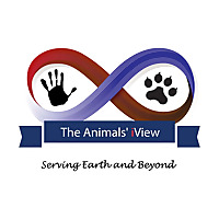 The Animals' iView with Lizanne Flynn