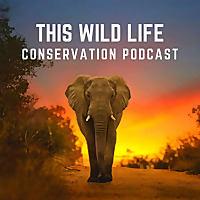 This Wild Life Conservation Podcast