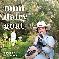 Mini Dairy Goat Podcast