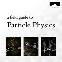 The Field Guide to Particle Physics