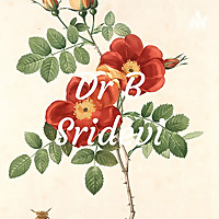 Dr B Sridevi