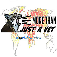 More than just a vet - Veterinary Life Journeys