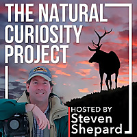 The Natural Curiosity Project