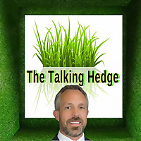 The Talking Hedge