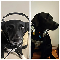 The Podcasting Guild: Babylon 5