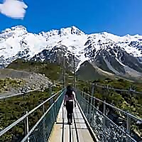 See the South Island