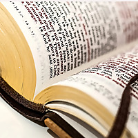 Grace Bible Church Grandville Sermons