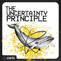 The Uncertainty Principle