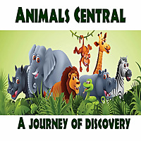 Animals Central