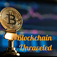 Blockchain Unraveled