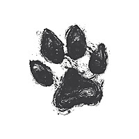Holistic Pet Radio