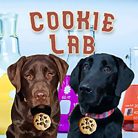 Cookie Lab