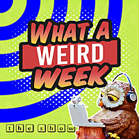 What a Weird Week