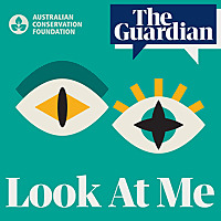 Look at Me