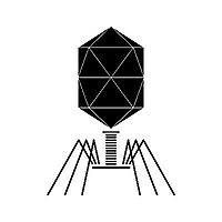 The Phage blog